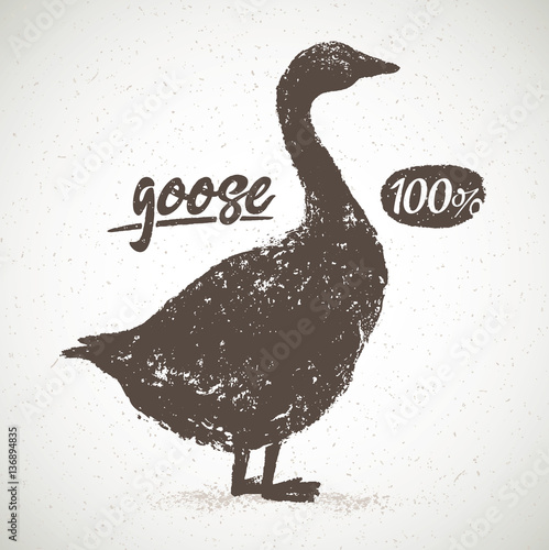 Vector silhouette of the goose, with the inscription, hand drawn illustration.