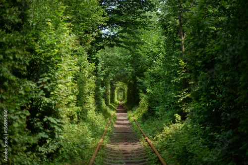 tunnel of love photo