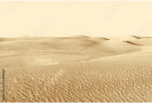 wydmy na pustyni