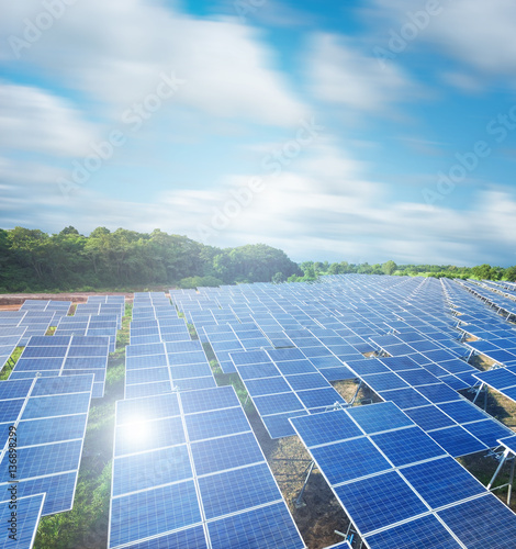 Solar panels with blue sky (Solar farm)