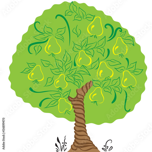 with pear tree