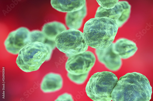 Bacteria Francisella tularensis, 3D illustration. Gram-negative pleomorphic bacteria which cause zoonotic infection tularemia photo