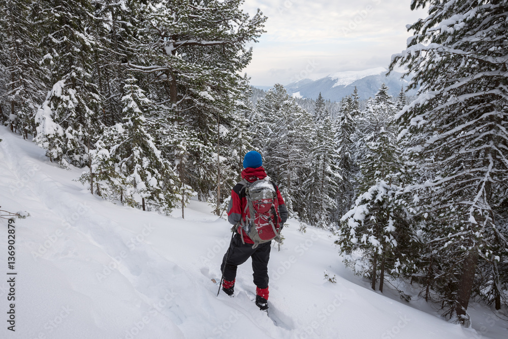 Man traveler in snowshoes relax among snow covered fir trees