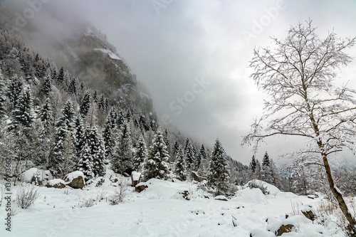 Val di Mello - Valtellina (IT) - Panorama invernale
