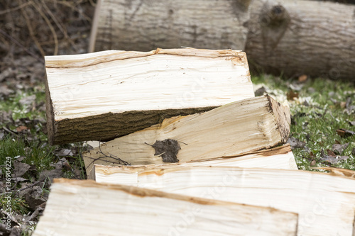 Man break wood with hammer photo