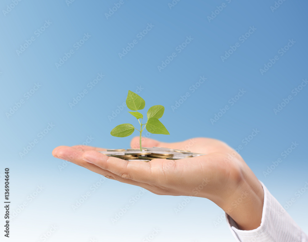 plant growing from coins  in hand