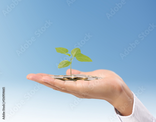 plant growing from coins  in hand