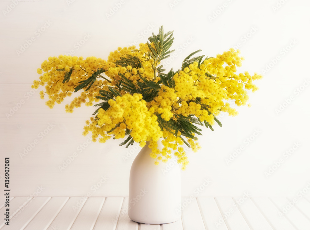 Vase with mimosa flowers Photos | Adobe Stock