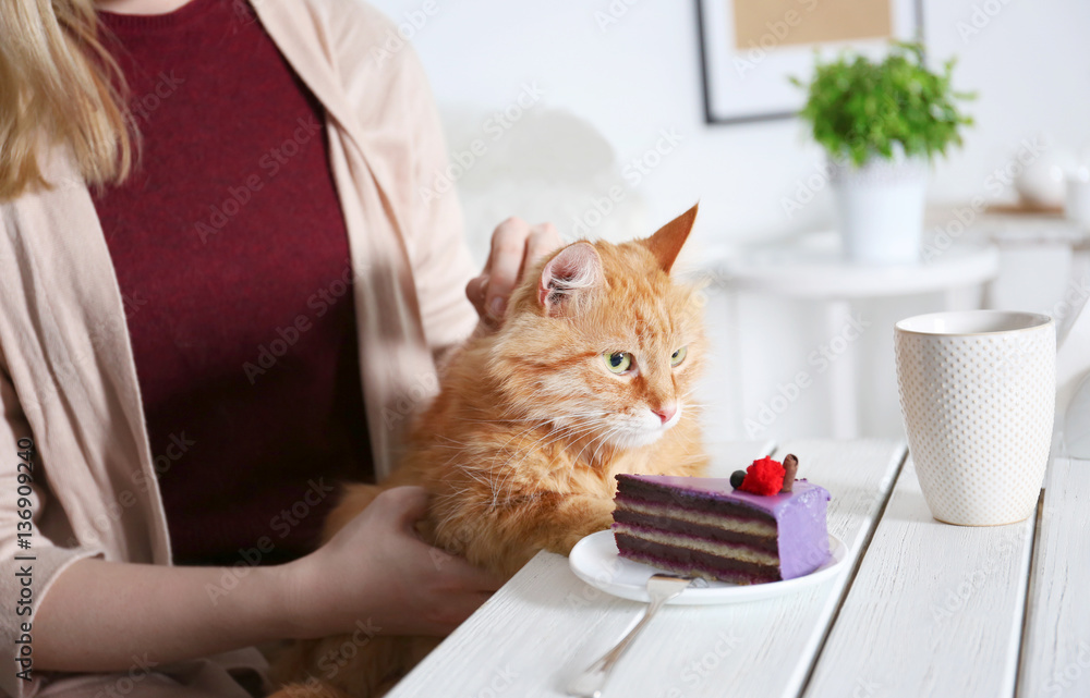 Woman sitting in cat cafe with dessert and cup of coffee