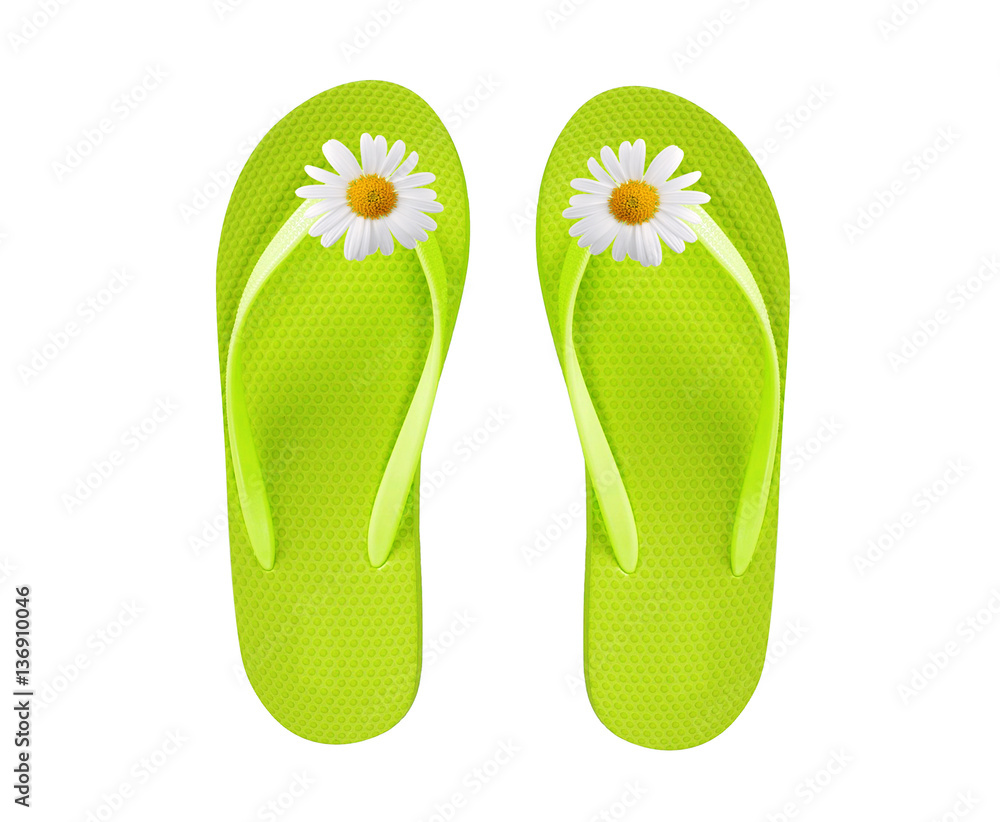 green beach shoes with chamomile flower isolated on white green beach shoes with chamomile flower isolated on white