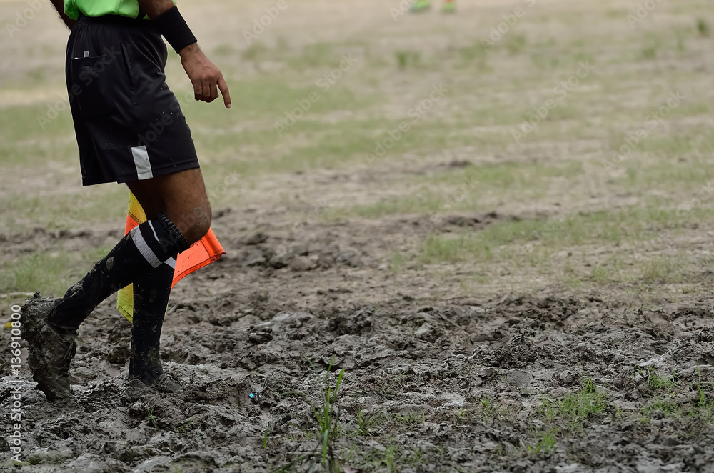 Fototapeta premium Soccer referee