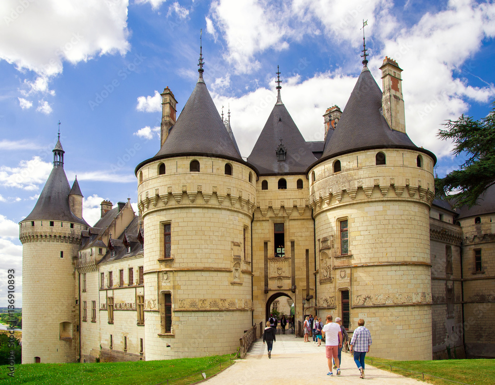 Beautiful summer landscape of the Loire valley, France Beautiful summer landscape of the Loire valley, France