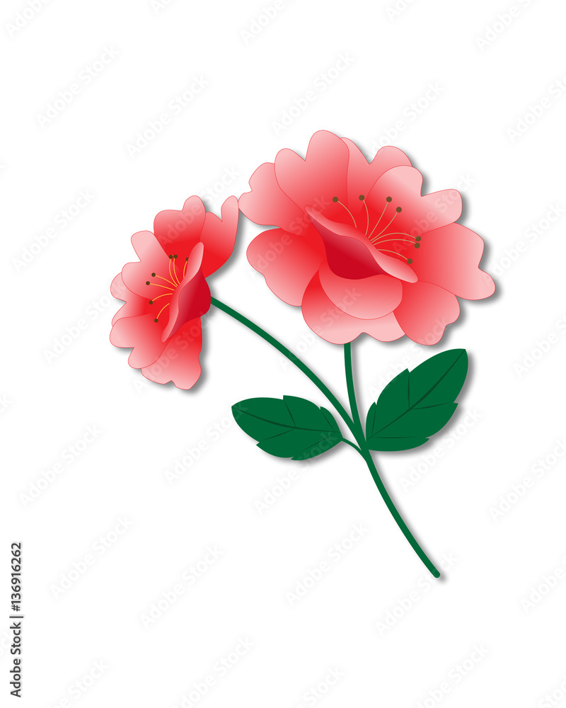 Beautiful bouquet with roses and leaves. Beautiful bouquet with roses and leaves.