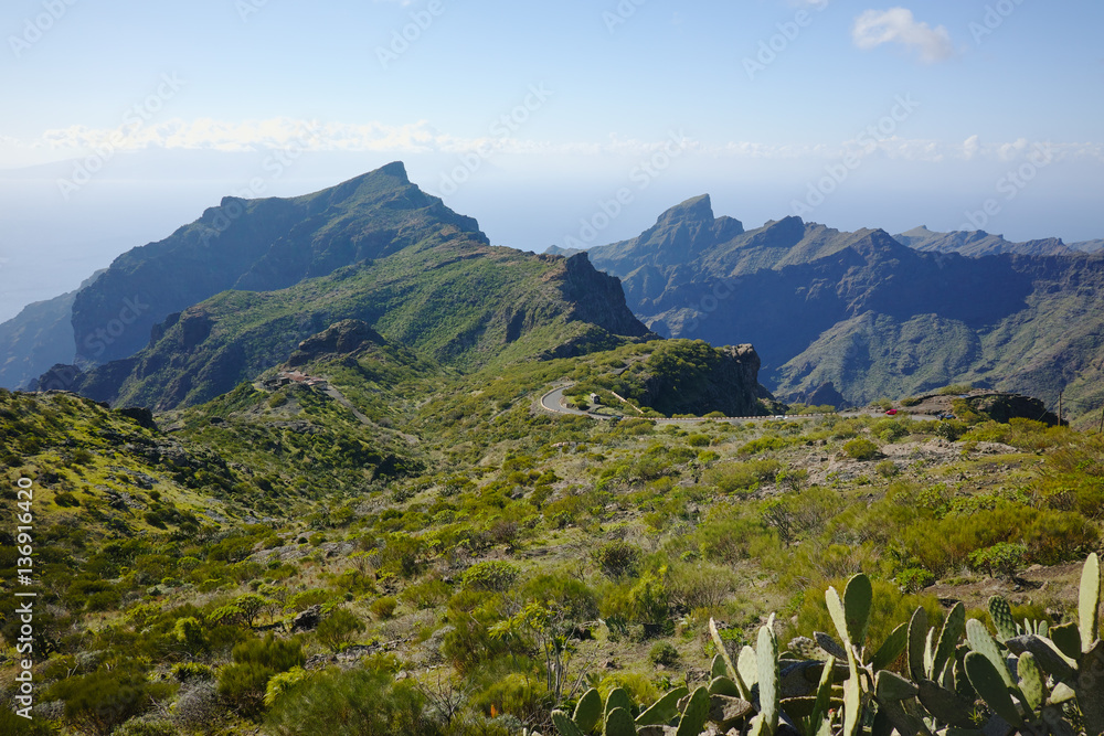 Obraz premium Nature near Masca Village, Tenerife