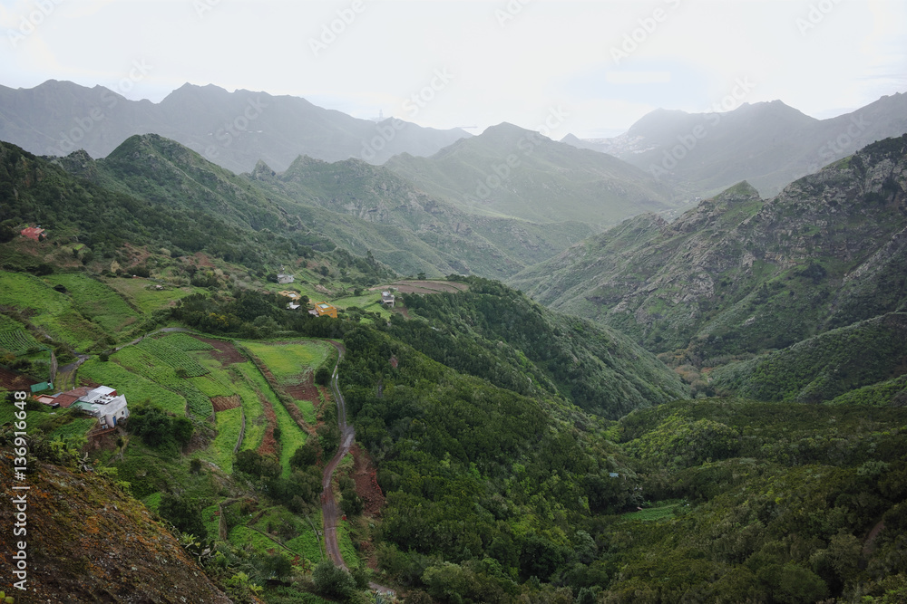 Fototapeta premium Road TF-12 in Anaga Rural Park - peaks with ancient forest on Tenerife