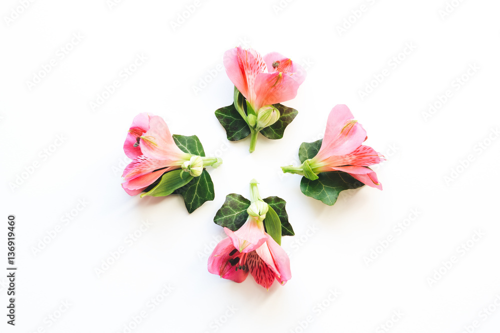Floral Decoration On White Background
