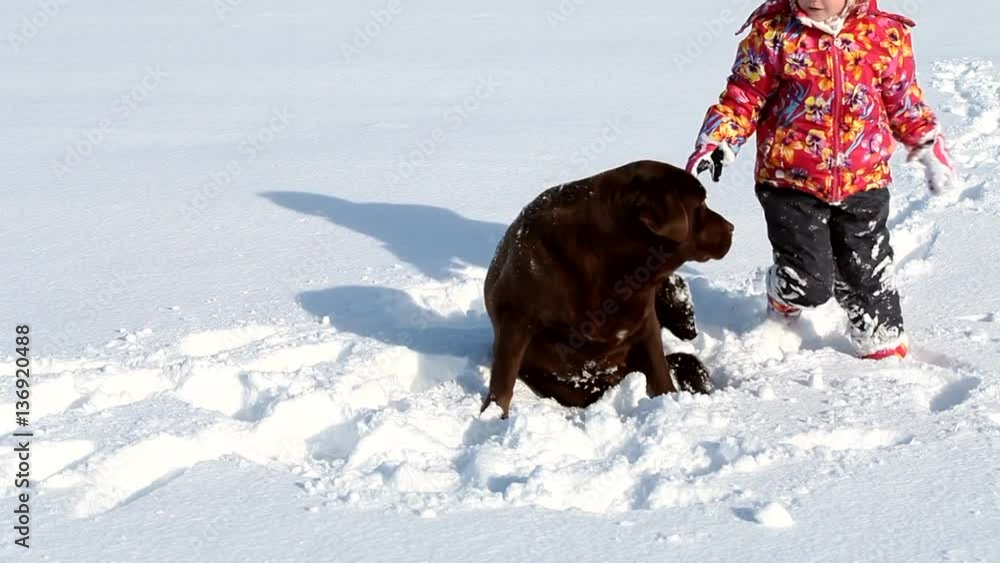 Little girl playing with her brown labrador in winter on snow Little girl playing with her brown labrador in winter on snow