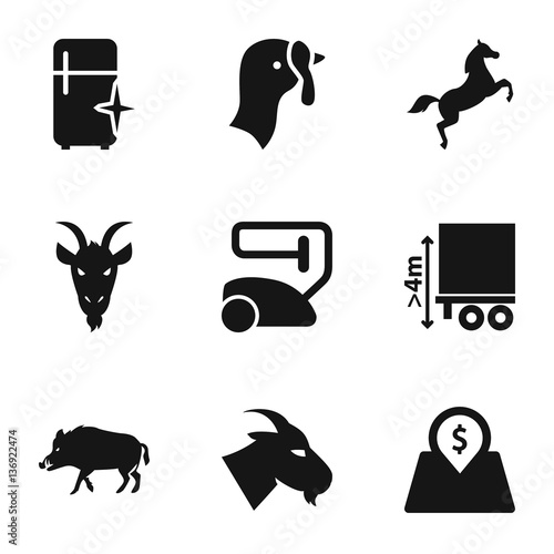 Set of 9 domestic filled icons