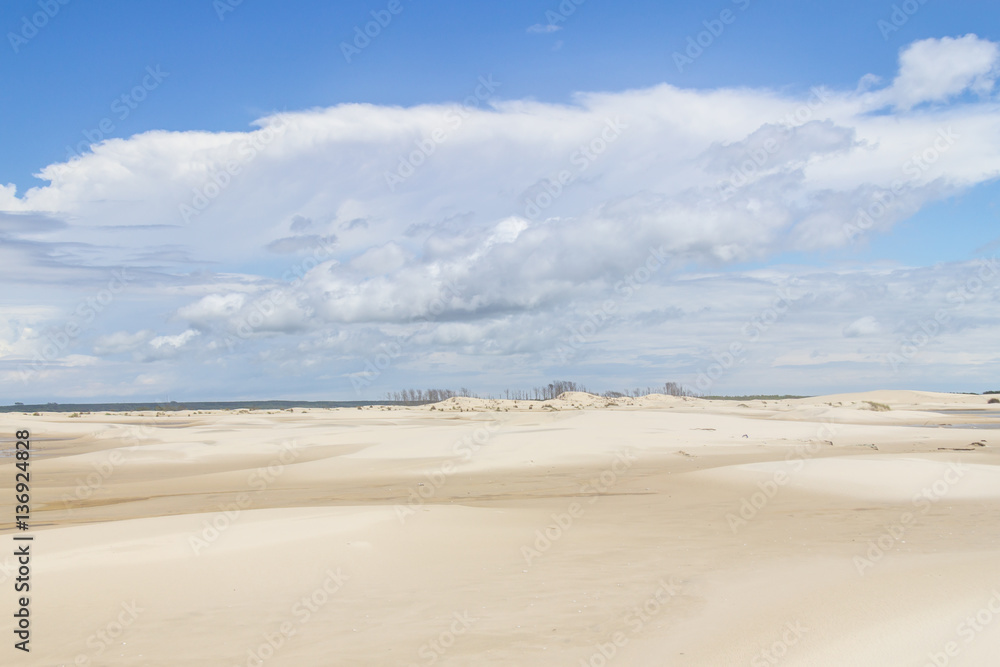 Dunes in the Tavares beach Dunes in the Tavares beach