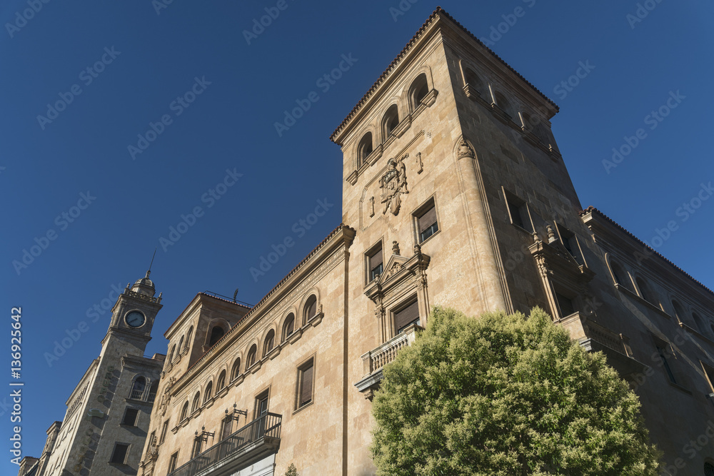 Salamanca (Spain): historic building