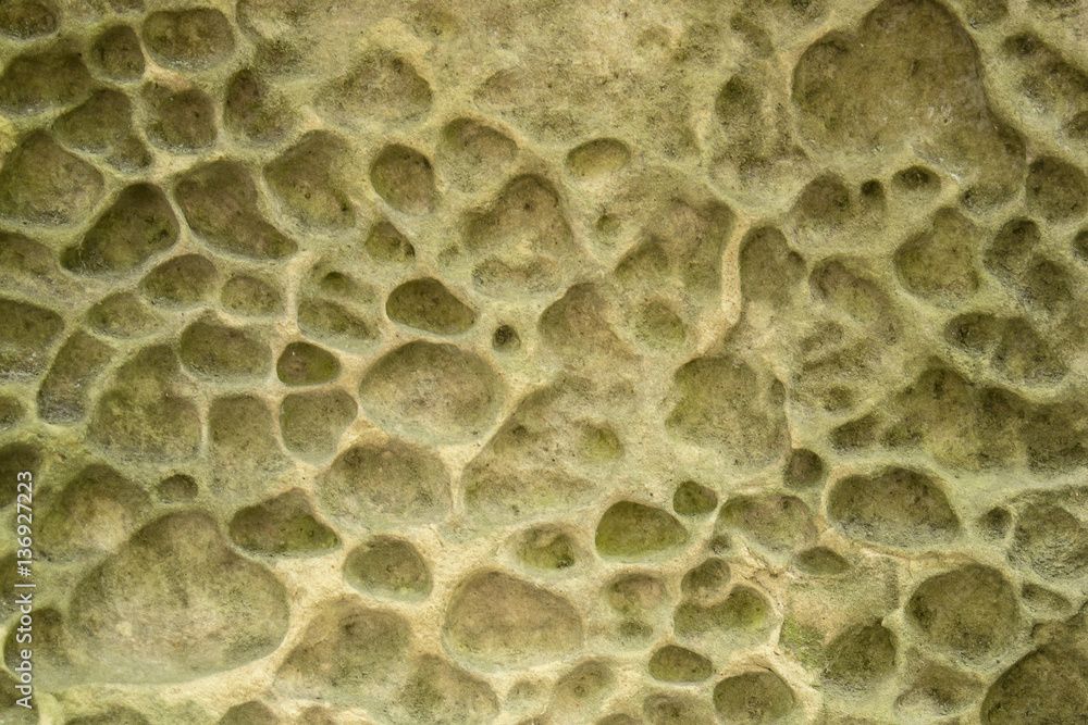 Background porous stone
