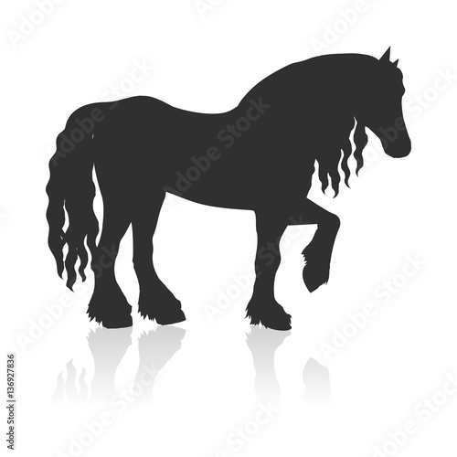 Draft Horse Vector Illustration in Flat Design