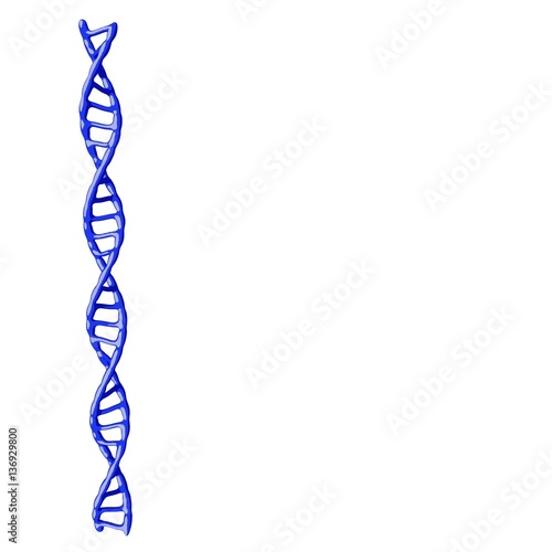DNA spiral. Isolated on white background. 3D illustration. Carto