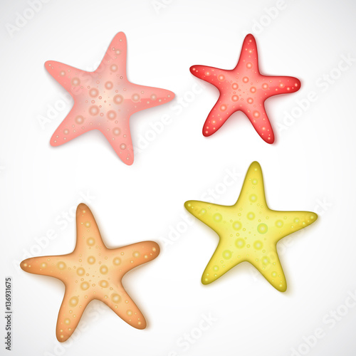 Starfishes set on white background, illustration
