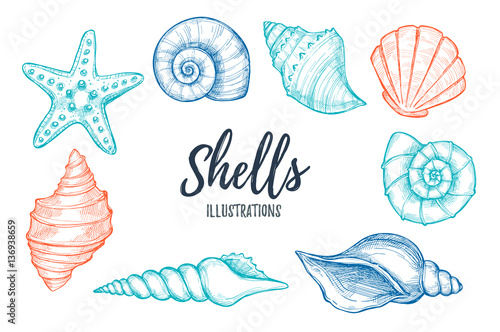 Hand drawn vector illustrations - collection of seashells.  Mari © Kate Macate