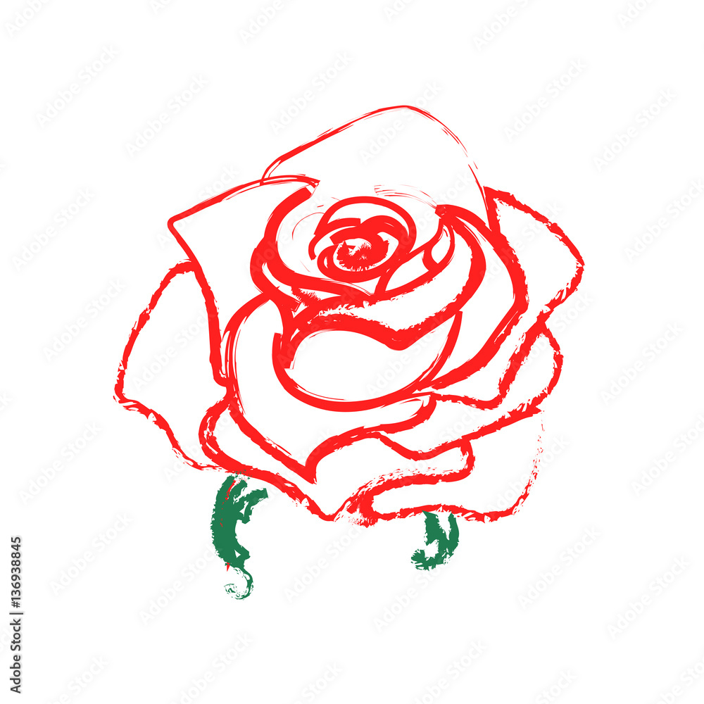 Rose sketch. Flower watercolor design element. Vector illustration ...