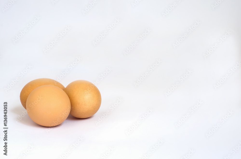 eggs on white background eggs on white background
