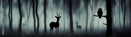 Photography Forest panorama with animal silhouettes