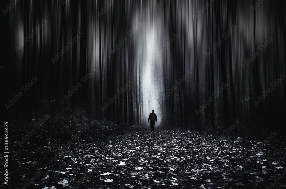 Obraz premium Forest fantasy landscape. Man in spooky forest at night, motion blur effect