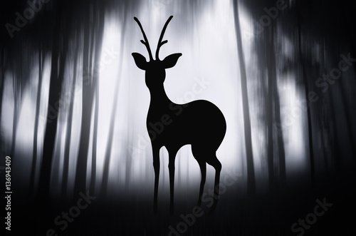 Deer in forest at night, ab...