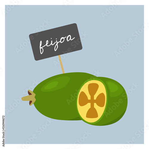 Vector Fruit - Feijoa
