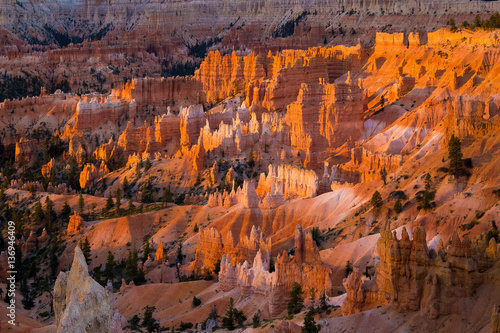 Bryce Canyon National Park at sunrise, Utah, USA