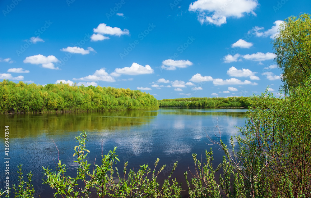 Spring landscape calm flowing river, young forest, blue sky with white clouds and the reflection in the water on a clear day. Ukraine.