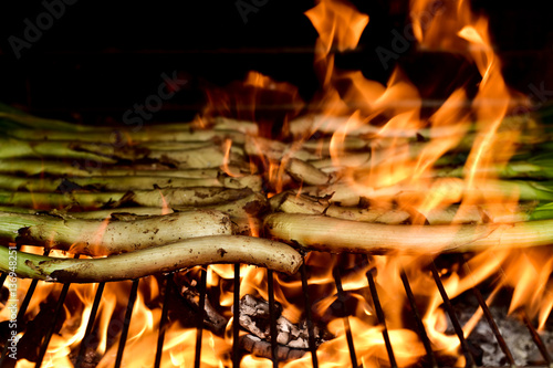 barbecuing calcots, sweet onions typical of Catalonia, Spain photo