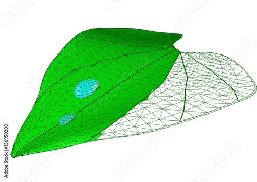 leaf with drops