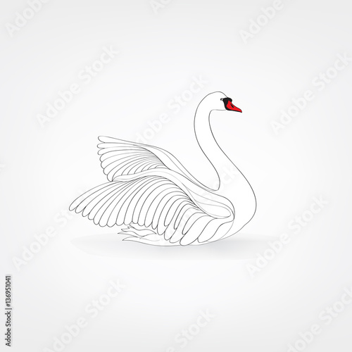 Fototapeta Naklejka Na Ścianę i Meble -  White bird isolated over white background. Swimming swan doodle line art