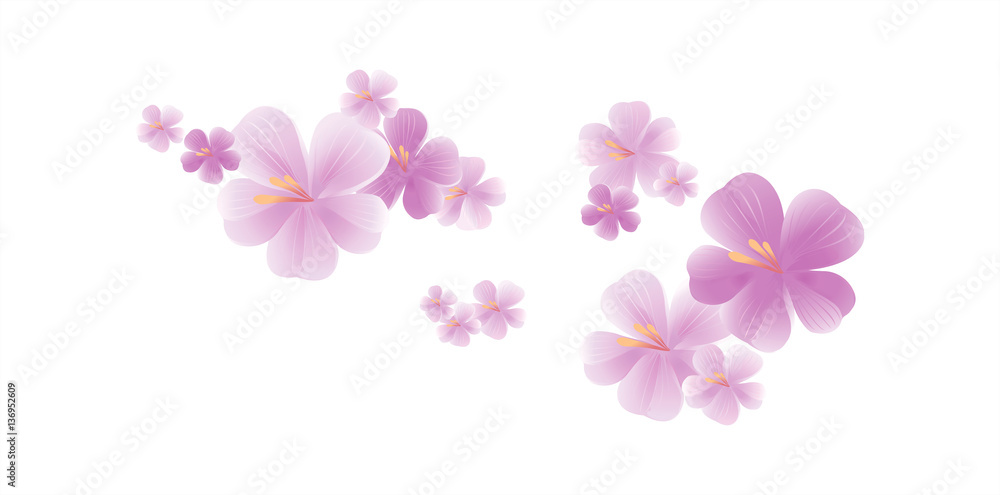 Purple flying flowers isolated on white. Sakura flowers. Cherry blossom. Vector 