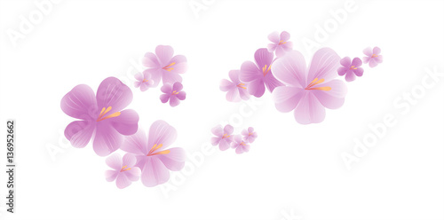 Purple flying flowers isolated on white. Sakura flowers. Cherry blossom. Vector 