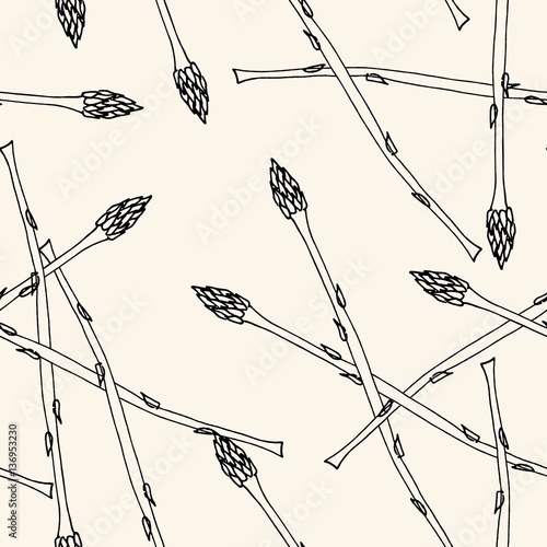 Spargel Plakat Hintergrund Element gezeichnet Vektor freigestellt 