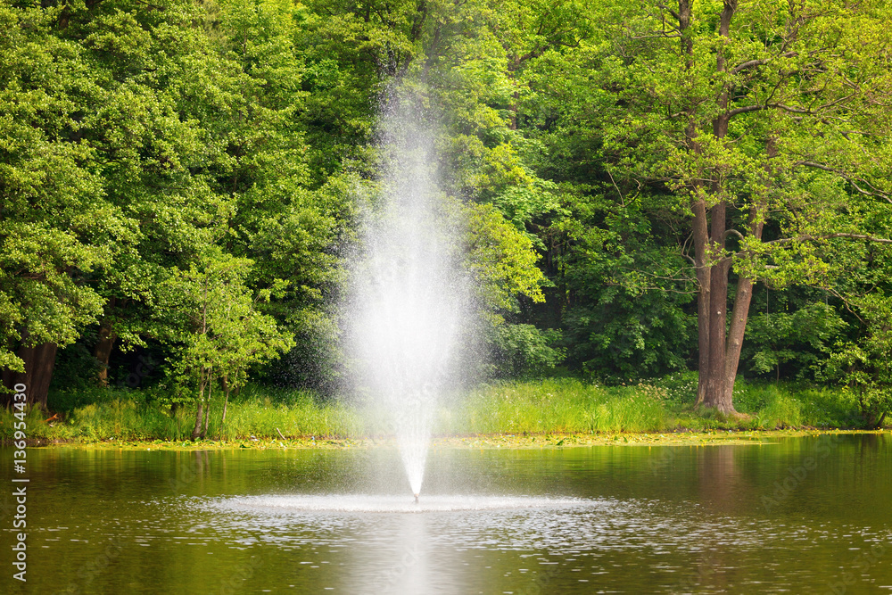 fountain in the lake on a background of green, spring trees