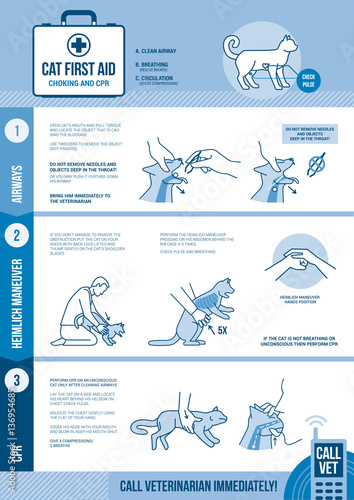 Cat and small animals cpr and first aid for choking and reanimation emergency procedure
