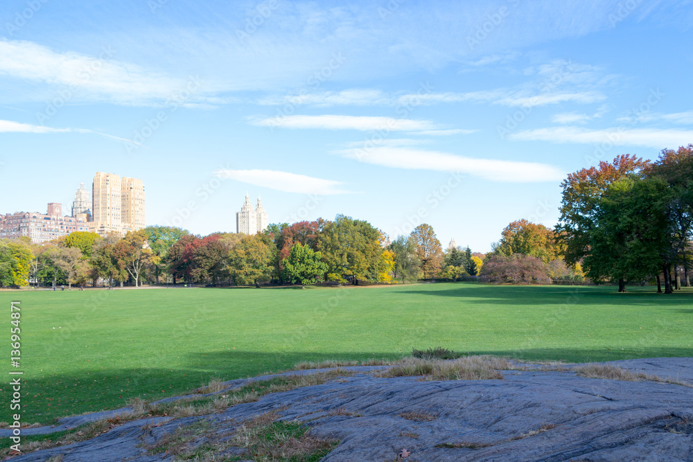 Empty Sheep Meadow during a morning in the fall