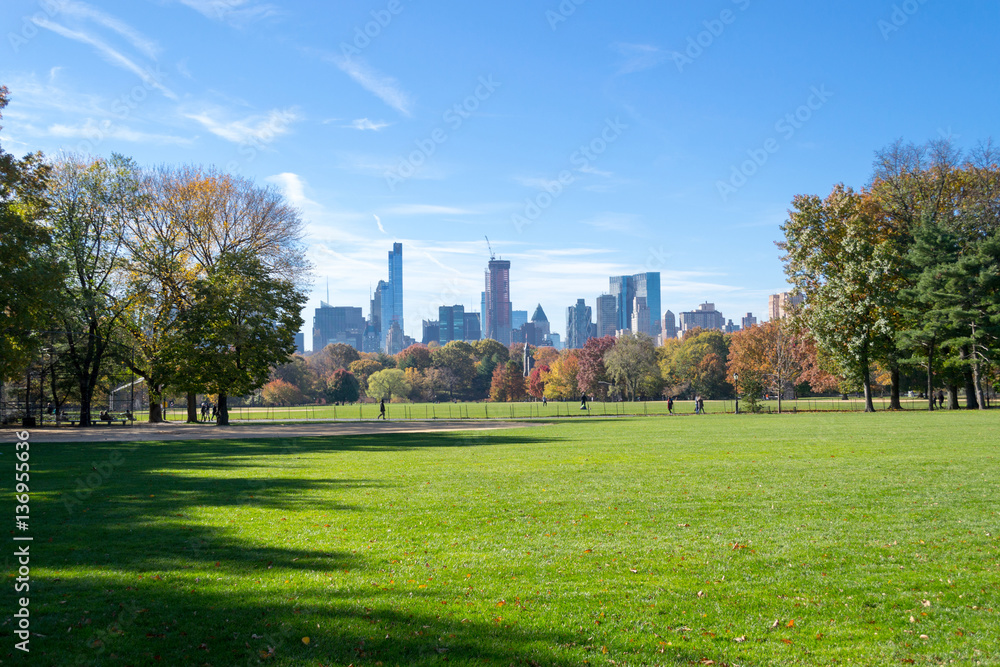 Great lawn located in the heart of Central Park during the fall