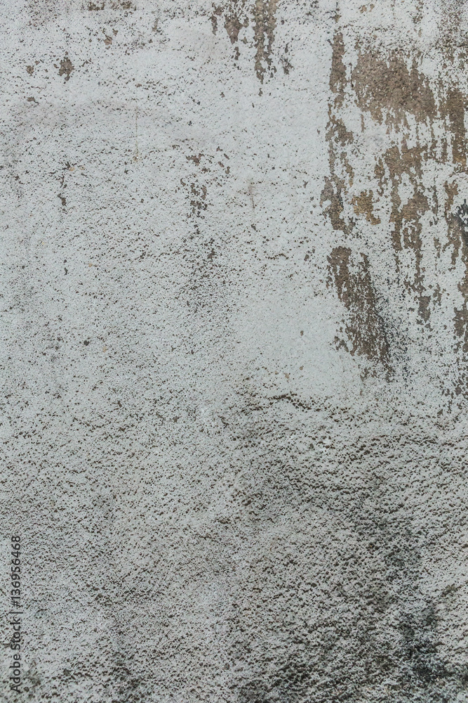 Fototapeta premium Gray mortar wall texture. Cement floor as a texture background.