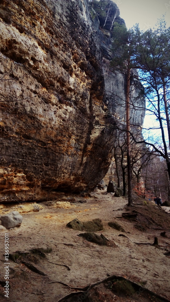 Obraz premium Prašná brána, Czech republic