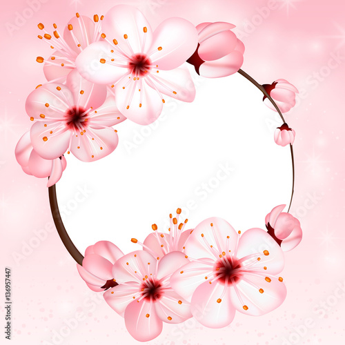 Spring background with pink blossom flowers. Vector 3d illustration. Beautiful vernal floral banner, poster, flyer. Springtime blooming apple tree. close up of branch, petal over rose bokeh backdrop.